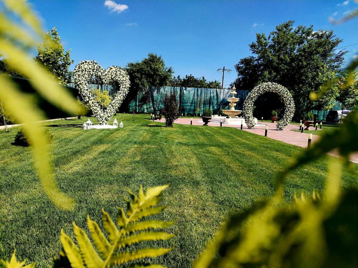 Poiana Verde Garden House Poiana Campina Zewnętrze zdjęcie